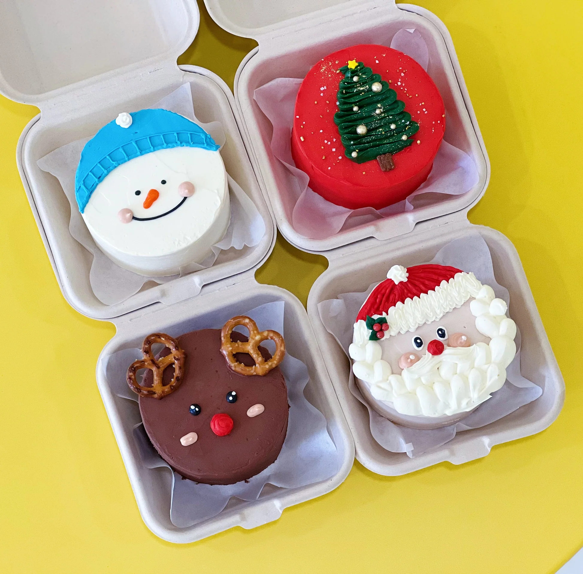 Winter Bento Cakes - Baking Classes Southfield Michigan | Cake Crumbs - snoop2